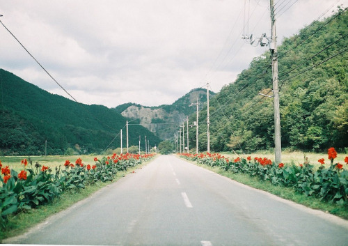 peko-poko:  untitled by *dapple dapple on Flickr. 