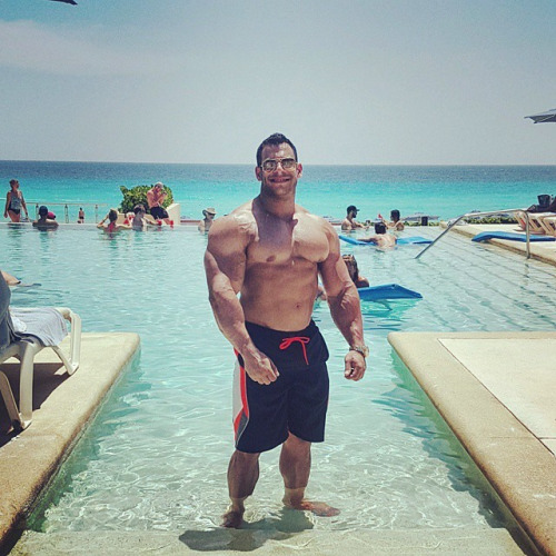 | DOMINICANO IN TEXAS |