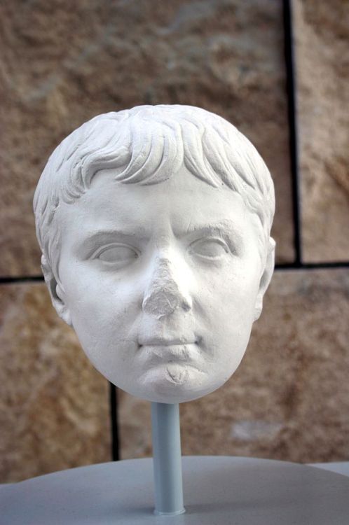 last-of-the-romans:Julio-Claudian BustsTop Row: Octavia, Augustus, & Marcus AgrippaMiddle Row: L