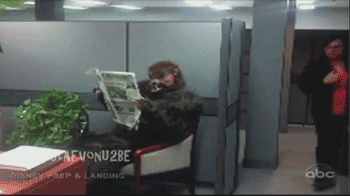 the-absolute-best-gifs:   This post has been featured on a 1000Notes.com blog! 