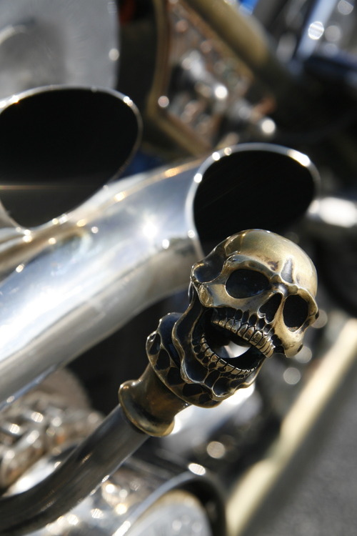 psychoactivelectricity:Barracuda - Indian Larry