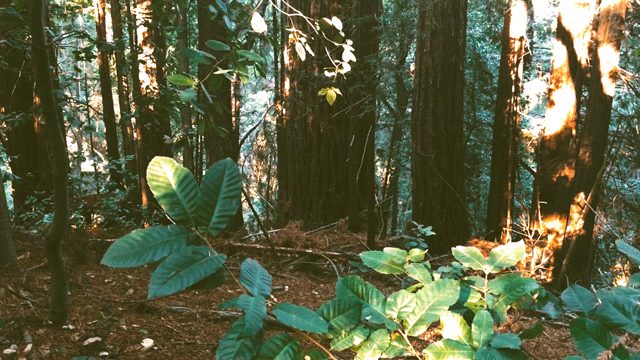 Source: http://expressions-of-nature.tumblr.com