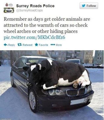 georgetakei:  There’s a great deal at steak in this advice. Source: http://po.st/1df5Hk