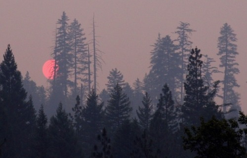 expressions-of-nature:California wildfires, sunset & sunrise by Gary Robertson