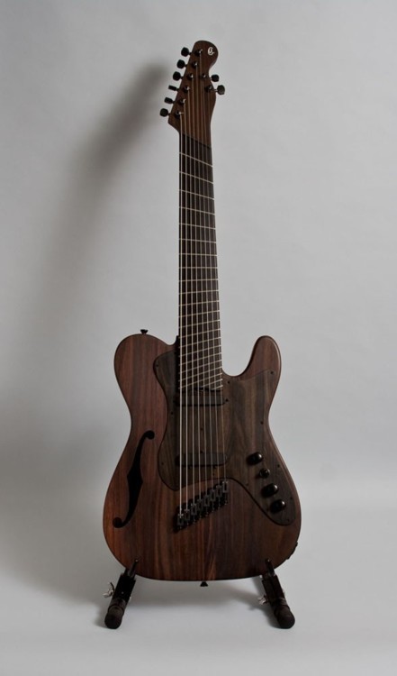 Macassar ebony guitar