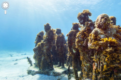 oessa:   Cancun Underwater Museum, Mexico. 21°11'59.4&quot;N 86°42'45.4&quot;W  