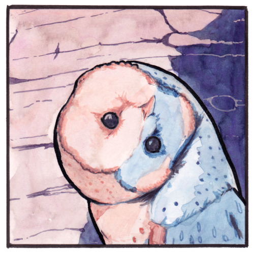 dullahandame:falseknees:Chouette [ID: a comic showing two barn owls, done in a watercolour style, a 