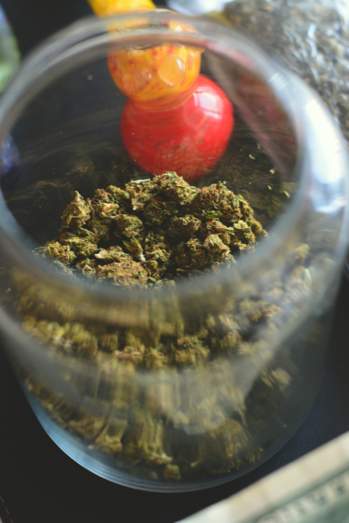 Grow Weed. Smoke Weed.