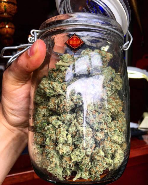 dank-purps: Tag someone you’d blaze this stash of KnightsBridgeOG with by @eerste.hulp and @la