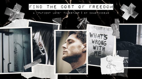 chaoticdean: Find the Cost of Freedom  [READ HERE] A Patient Love timestamp | wc: 10.2k | Ratin