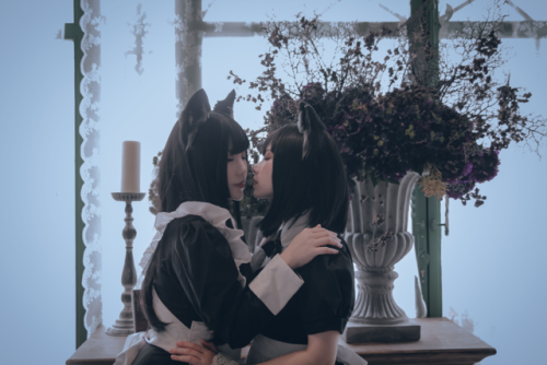 neko-story-lolita:  2019/08/23宅邸日常