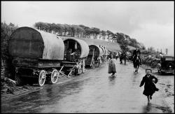  Inge Morath © The Inge Morath Foundation County Kerry. Killorglin. Tinkers (Irish gypsies). 