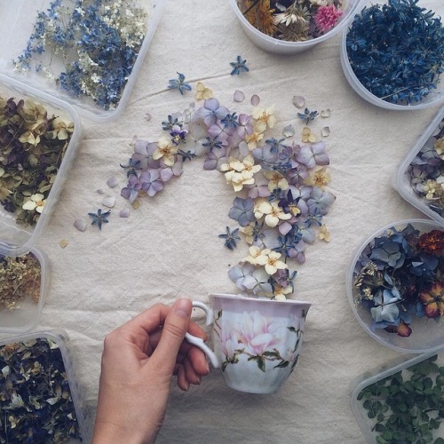 inkxlenses:Floral Tea Story | by Marina