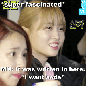 twiceoneinamillion:  MOMO AND SODA FT. JEONGMO’S SODA TELEPATHY 