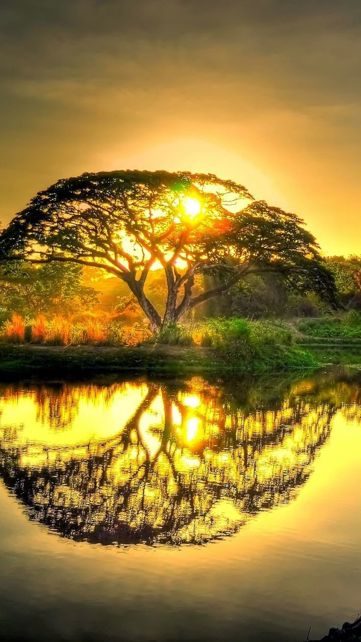 expression-venusia:  Sunset Pond with Tre Expression Photography