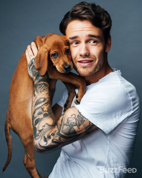 Um hi.We photographed Liam Payne with a bunch of puppies.And it is cute as hell. : Taylor Miller/Buz