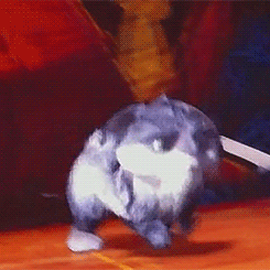 loakspider:  Baby Bunnymund appreciation; more like adorable grumblebum I love how