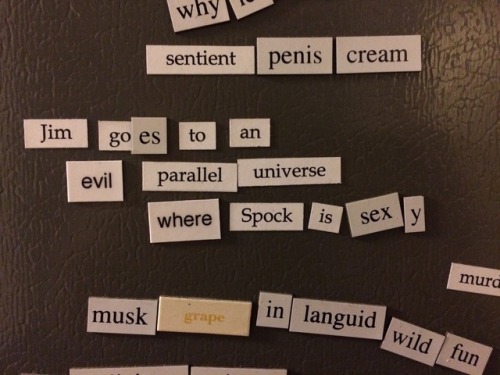 our house has four fridge poetry sets: erotic fridge poetry (gift from my mother), star trek fridge 