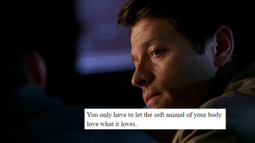 dykeclairenovak:castiel + wild geese by mary oliver (1/?)