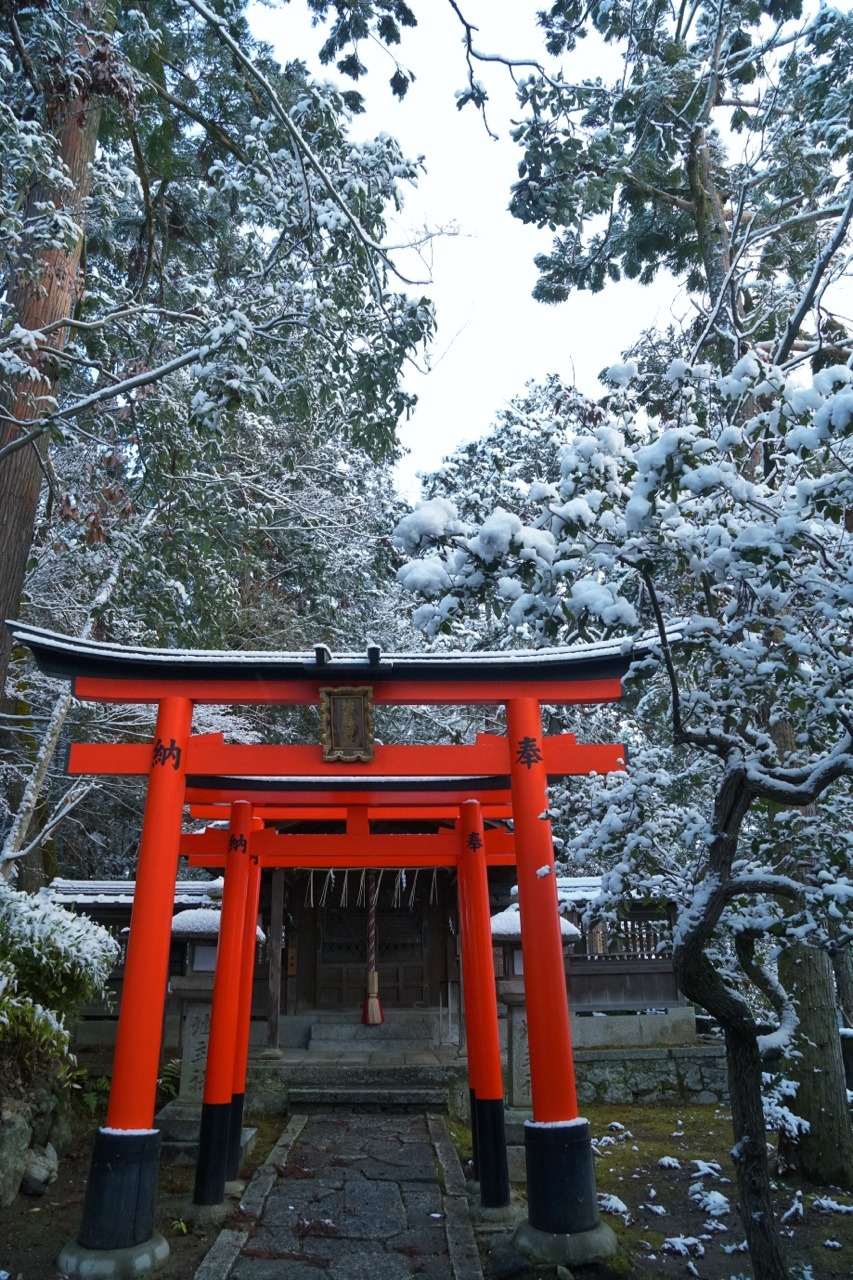 chitaka45:  京都 今宮神社 ❄️雪景色❄️2019.1.27 kyoto imamiyajinja