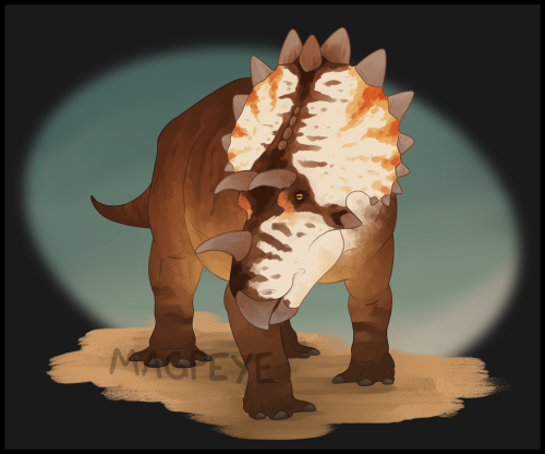 Regaliceratops petwerhewsi, one of my favourite ceratopsids! Discovered in Alberta, my home province