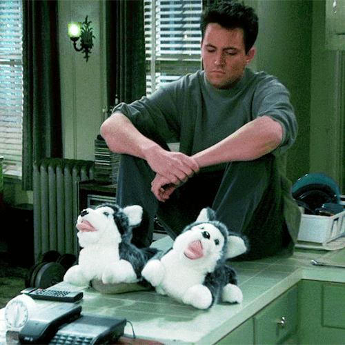 CHANDLER BING2.17 The One Where Eddie Moves In