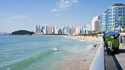 breakingbarriersofficial:  Busan, South Korea. 