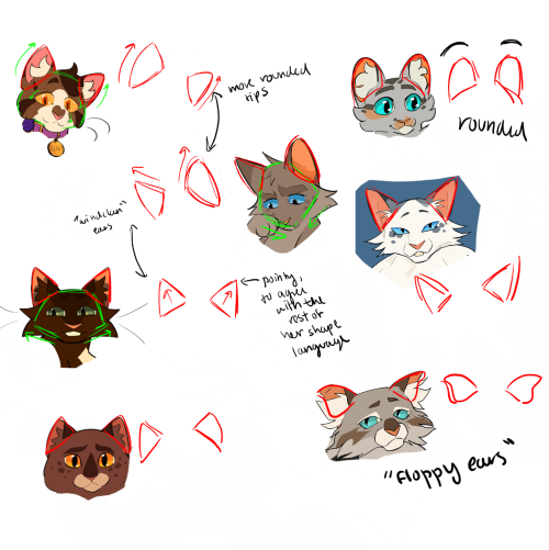 Do You Have Any Tips For Cat Face Shape?? I Struggle To Imagine Anything But Circle