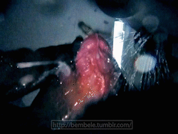 bembele:  Midnight shower… http://bembele.tumblr.com 