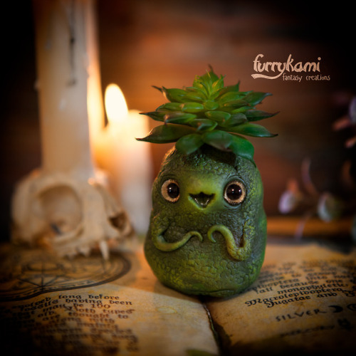 Buy this dude https://www.etsy.com/listing/631418423/ready-to-ship-art-toy-baby-succulent?ref=shop_h