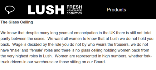 knowvacane:  I studied LUSH as part of my A Level ethics within business course and honestly they never fail to amaze me. Their policies are exceptional, with zero-tolerance of animal testing; employees working the same role are paid exactly the same,