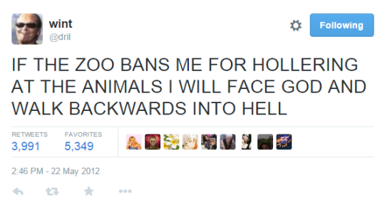 quotes from random places around the internet with an unsettling amount of power