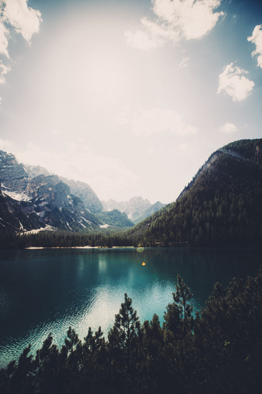 wolftramp:  Vintage Blog 