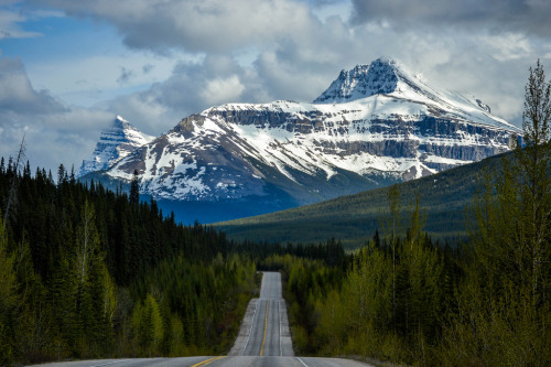 just-breezy:  Untitled by Laurie Illan 