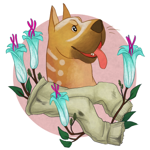 long time no mabari