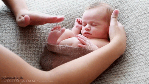 gaj0romar1ogifs:  THAT’S SO FUCKING CUTE …. 
