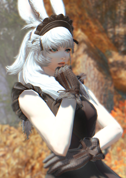 ff14 viera