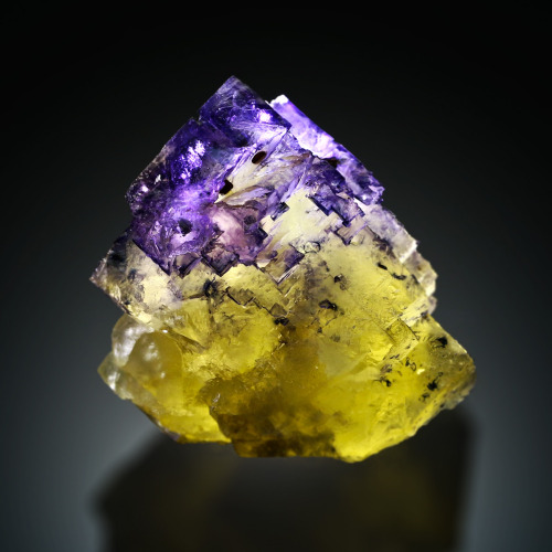 Fluorite - Rosiclare Lv Annabel Lee Mine, Illinois