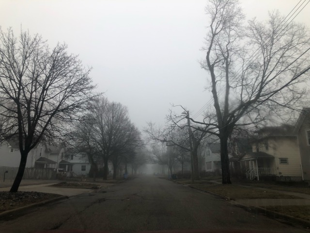 writhe:foggy morning out my bathroom window, foggy morning on my street, foggy drive though the neighborhood / evening rain at the trailhead / boardwalk 