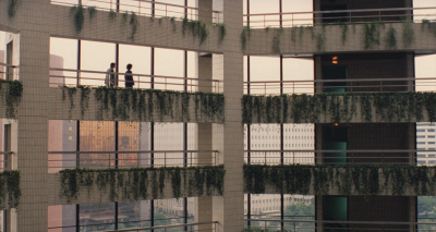 beingharsh:Taipei Story (1985), dir. Edward Yang