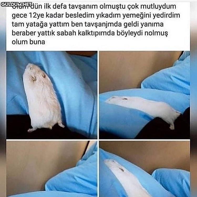 Ağzından üfle düzelir Olum...