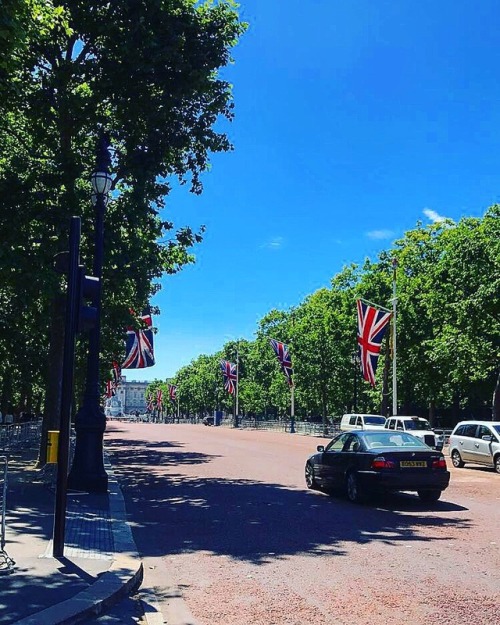 Wandering the grounds near Buckingham Palace 