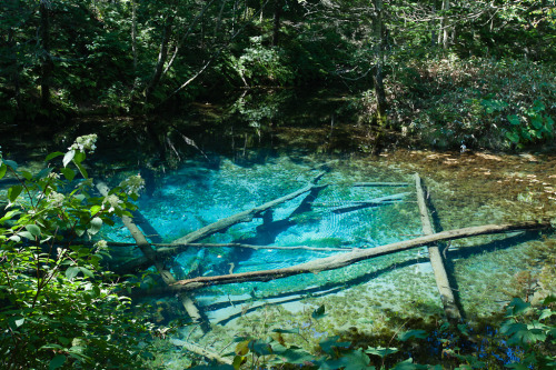 Blue Pond, Hokkaido 