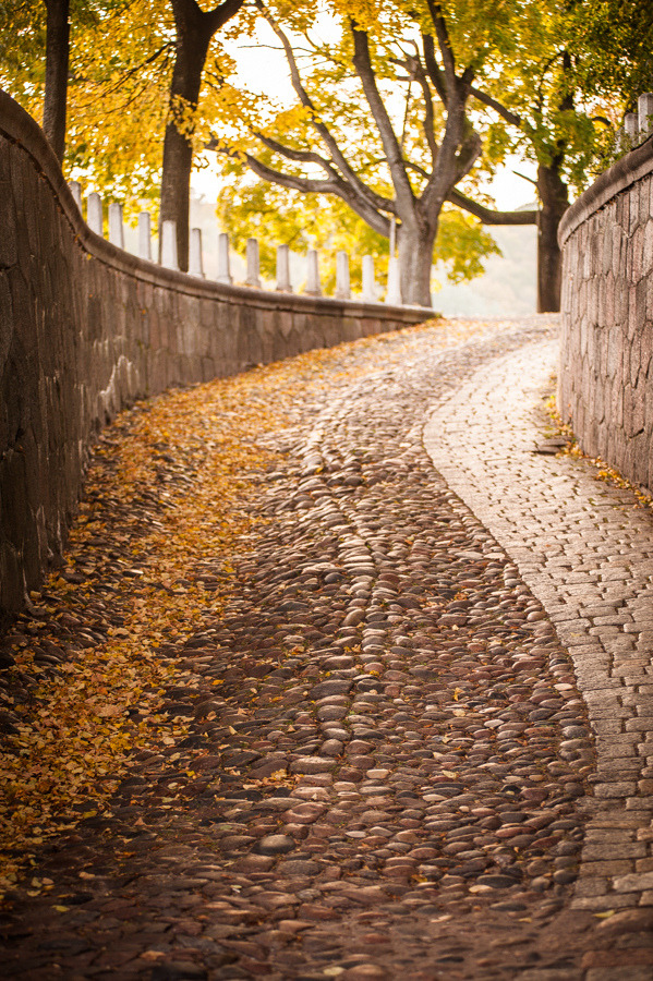 allthingseurope:  Kaunas, Lithuania (by Domantas) 