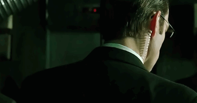 petapeta: 1502116511447.gif
