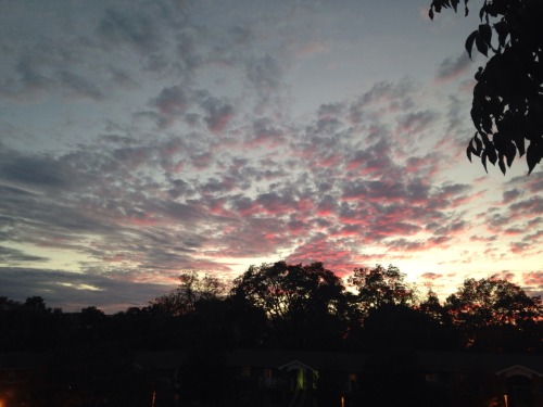 I've Been So Obsessed W/ The Sky Lately. Like Look At How Beautiful It Is.