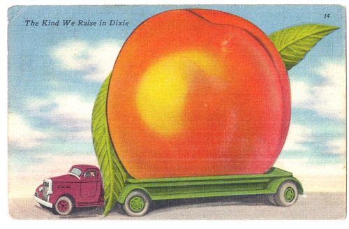 The Allman Brothers Band - Eat a Peach (1972)From an old postcard found at a drugstore in Athens, Ge