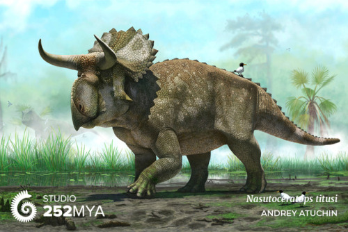 252mya:Nasutoceratops titusiArtwork by Andrey AtuchinNasutoceratops lived in a Cretaceous Period flo