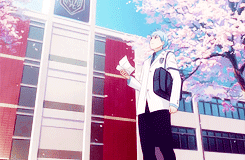 keiko-chan: Kuroko no Basket + Cherry blossom