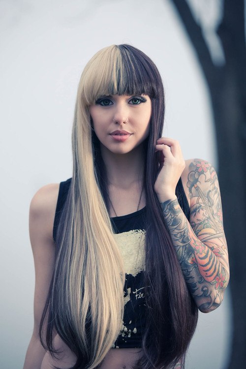 fairies,cats,scene-girls-and-tats